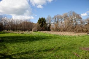 Garden - click for photo gallery